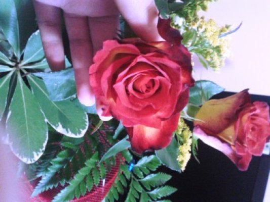 Cât cheltuiesc românii pe florile pentru nuntă şi pentru botez